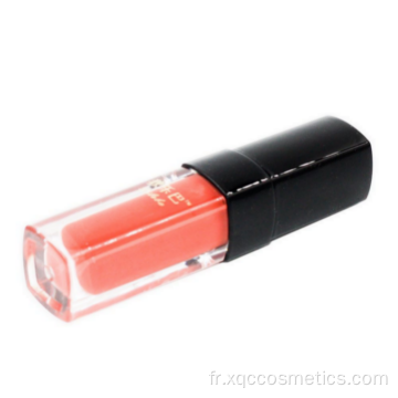 Glaçage à lèvres hydratant rouge 4 couleurs avec FDA